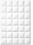 Kauffmann Superior Daunendecke warm - 155x220cm