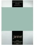 Janine Jersey Elastic Spannbetttuch 90x190 cm - 100x220 cm | rauchgr&uuml;n - gr&uuml;n