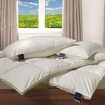 Billerbeck Daunendecke Nena 306 Kassette X extra warm, F&uuml;llung: 100%...