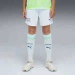 PUMA 783234_02, PUMA Schweiz 2026 Shorts Teenager, Kleidung, Blau, 5-6Y kids