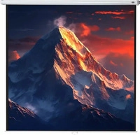 celexon 1090034, celexon Leinwand Rollo Economy 300 x 300 cm - 167"