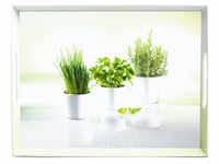 EMSA (Groupe SEB Deutschland GmbH) EMSA Classic Tablett "Herbs ", Extra hoher...