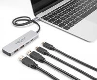 Delock - Hub - 10 Gbps, with 35cm connection cable - 2 x USB 3,1 Gen 2 + 2 x USB-C -