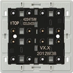 Jung 4224 TSM Elektroschalter (4224TSM)