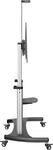 STARTECH.COM Mobile TV-St&auml;nder - F&uuml;r 152,4-254cm 60-100 Display 100kg