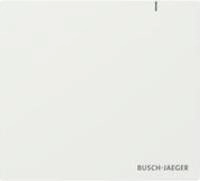 BUSCH JAEGER BJ SAP.13 System Access Point 3.0 (2CKA006200A0868)