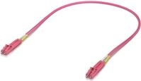 Ubiquiti Indoor OM4 multi-mode fiber UPC connectors. 0.5M, 50 pack