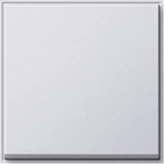 GIRA Wippe f.Wippsch.u.Wipptaster 029666 TX_44 reinweiss 029666 (029666)