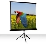 Celexon Economy 1:1 Tripod Screen 219 x 219 (1090017)