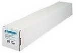 Hewlett-Packard HP Everyday - Polypropylen-Folie (matt) - Roll (61 cm x 30,5 m) - 120