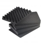 B&W outdoor.case Type 3000 - Hartschalentasche - Polypropylen - Schwarz (3000/B/SI)