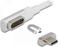 Delock - USB-Kabel - 24 pin USB-C (M) abgewinkelt, magnetisch zu 24 pin USB-C (M) -