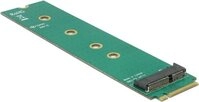DeLOCK Adapter M.2 Key M male > M.2 Key E slot - Schnittstellenadapter - M.2 (M.2) -