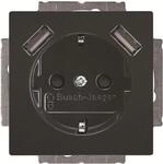 BJ 20 EUCB2USB-81 SCHUKO-/2x USB-Steckdose (2CKA002011A6267)