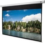Celexon Leinwand Motor Economy 280 x 158 cm