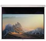 DELUXX Advanced Rolloleinwand Slowmotion 203 x 114cm