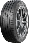 Linglong 221030521, Linglong 255/50 R17 107V Sport Master e XL, Kraftstoffeffizienz: