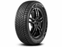 Westlake 155/80 R13 79T SW608, Kraftstoffeffizienz: E, Nasshaftungsklasse: C,