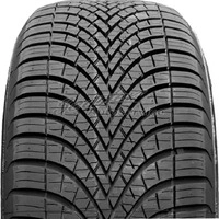 Sava 720789, Sava 175/65 R14 82T All Weather, Kraftstoffeffizienz: C,