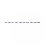 Paulmann 79861 MaxLED 250 LED Strip Einzelstrip 1m 4W 270lm/m 30 LEDs/m Tunable White