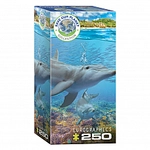 eurographics Puzzle - Delfine - 250 Teile 301277
