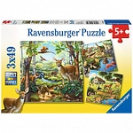 Ravensburger Puzzle - Wald-/Zoo-/Haustiere - 3 Kinderpuzzle 303147