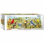 eurographics Puzzle - V&ouml;gel im Garten - 1000 Teile 301202