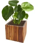 Pflanzkasten HWC-L24, Pflanzk&uuml;bel Blumentopf Blumenkasten, eckig 32x32x32cm...