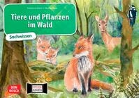 Don Bosco Kamishibai-Bildkarten Tiere und Pflanzen im Wald