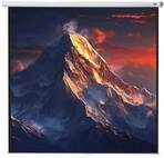 celexon Leinwand &bdquo;Economy ", Format: 1:1, Gr&ouml;&szlig;e: 240 x 240 cm