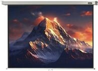 celexon Leinwand &bdquo;Professional&ldquo;, Format: 4:3, Gr&ouml;&szlig;e: 290 x 218 cm