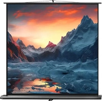 celexon Leinwand Ultramobil Professional 200 x 200 cm
