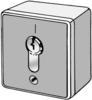 Rademacher Schlüsseltaster Aufputz inkl. Zylinder Typ 4596 #80000006