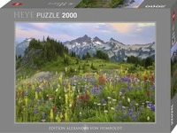 Heye Tatoosh Mountains (2.000 Teile)