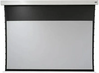 celexon 1000036720, celexon Batterie Leinwand Motor Professional Plus Tension -