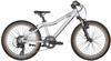 Scott 290748222, Scott Scale 20'' Kinder MTB Fahrrad silberfarben 2024 Unisex