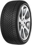MINERVA AS MASTER 225/45R17 91W