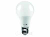 LIGHTME LM85109, LIGHTME LED-Lampe 865 E27 LM85109