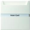 Gira 014040, Gira Hotel-Card-Taster rws S-Color 014040