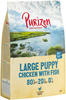 Purizon Large Puppy Huhn & Fisch - getreidefrei - 1 kg