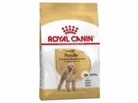 7,5kg Poodle Adult Royal Canin Hundefutter trocken
