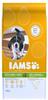 IAMS Advanced Nutrition Puppy Small / Medium Breed mit Huhn - 12 kg