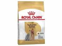 3kg Adult Yorkshire Terrier Royal Canin Breed Hundefutter trocken