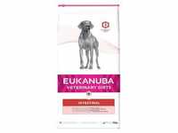 Eukanuba VETERINARY DIETS Adult Intestinal - 2 x 12 kg