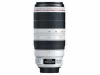 Canon EF 100-400mm 1:4,5-5,6L IS II USM