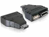 OEM Power over eSATA Adapter zu eSATA und USB Aadapter