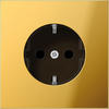 Jung GO1520PL Abdeckung für SCHUKO-Steckdosen Metall goldfarben PVD-beschichtet