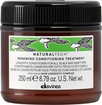 Davines 324428, Davines Natural Tech Renewing Conditioner Treatment 250 ml