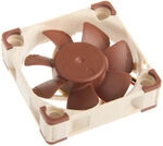 Noctua NF-A4x10 FLX L&uuml;fter - 40mm LUNA-013