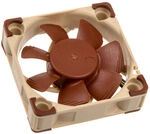 Noctua NF-A4x10 PWM L&uuml;fter - 40mm LUNA-080